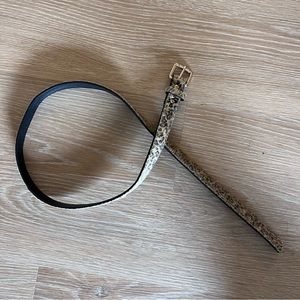 Cheetah print and gold belt from Francesca’s